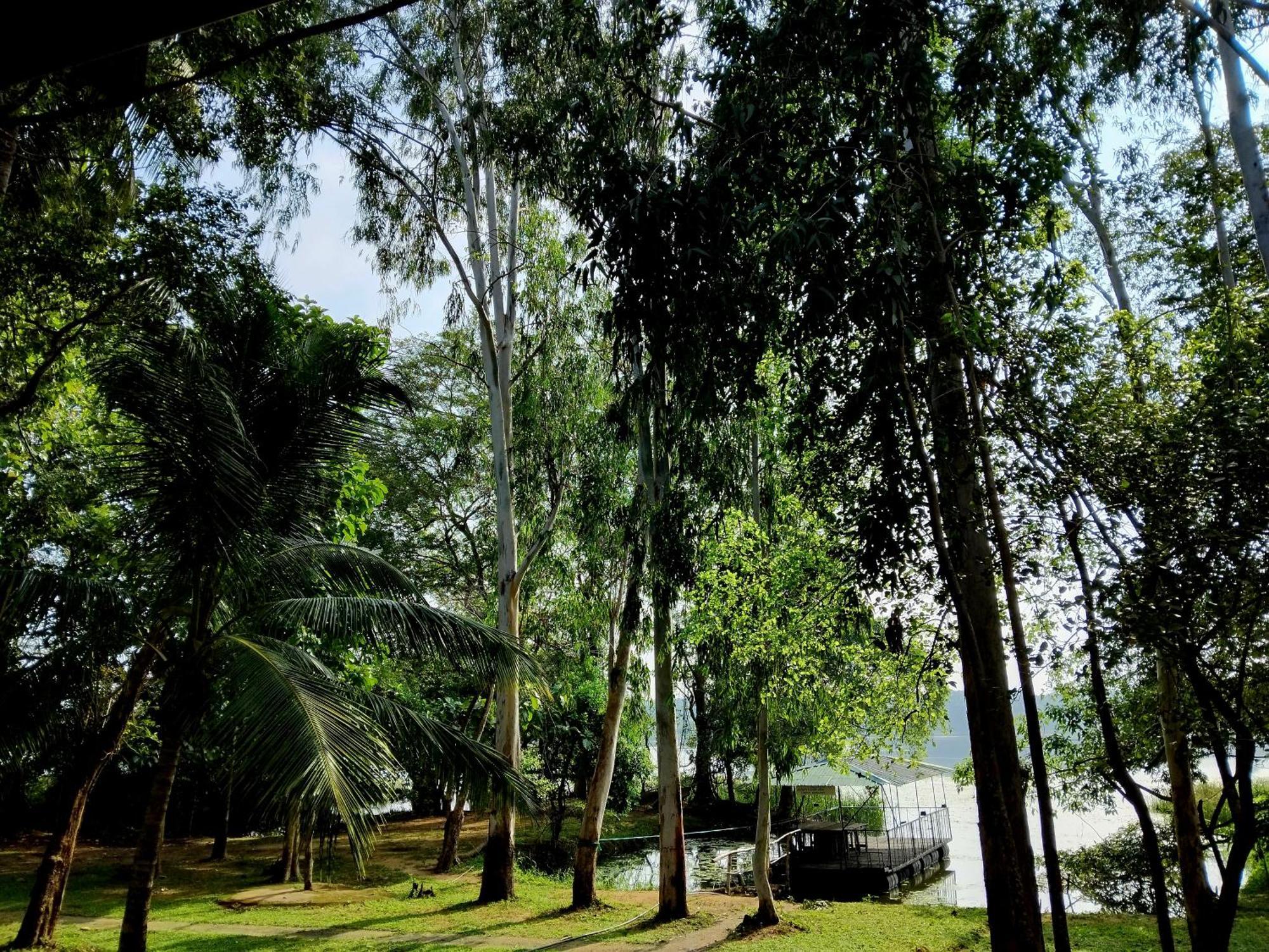 Nature'S Lake View Sigiriya Dambulla Buitenkant foto