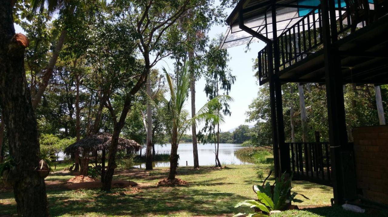 Nature'S Lake View Sigiriya Dambulla Buitenkant foto